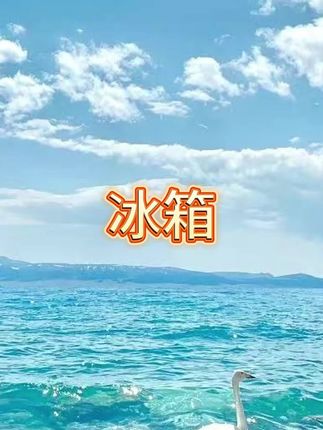 #冰箱#家用冰箱#冰箱推荐