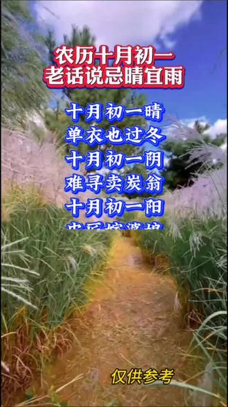 农历十月初一
老话说忌晴宜雨