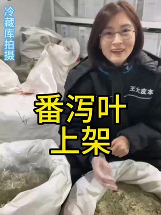 番泻叶上架 #健康#滋补#养生#倪海厦#伤寒论@王大皮本草 @王大皮本草-小铺