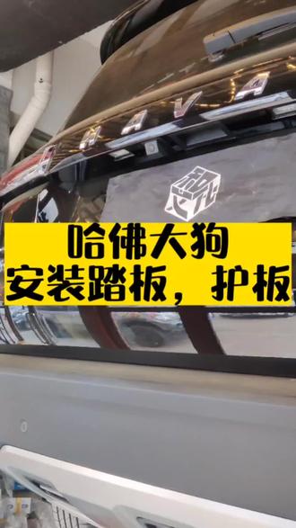 哈弗大狗喷底盘装甲,按护板,按踏板。#阜新 #汽车