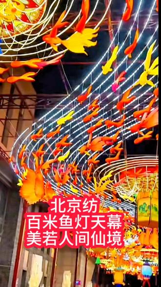 北京纺百米鱼灯天幕 美若人间仙境#真实生活分享计划 #灯会 #灯会打卡地 #前门大街 #北京坊花灯
