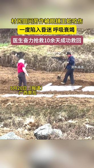 村民被眼镜王蛇咬昏迷抢救10天救回(九派新闻)