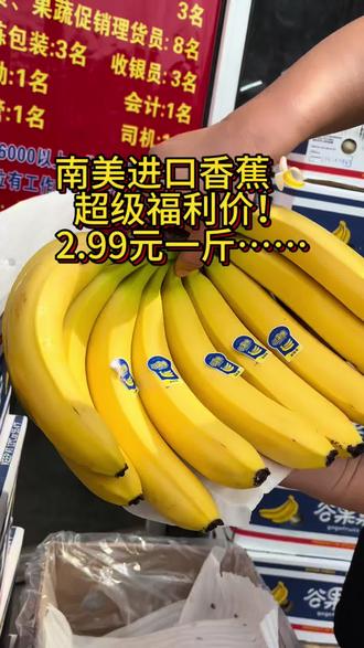 南美进口香蕉🍌!福利价!2.99一斤!