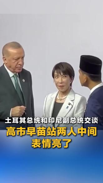 土耳其总统和印尼副总统交谈 高市早苗站两人中间 表情亮了