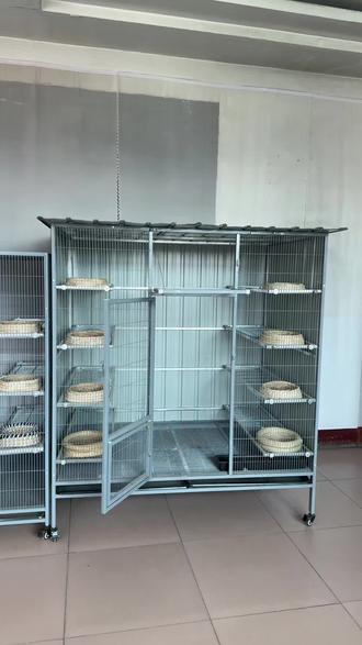 鸽子笼鸟笼 #笼子#鸽子笼#鸽笼鸽具#鸽笼制作@DOU+小助手