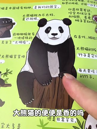 考拉居然是吃屎长大的!熊猫的便便居然是香的?看过这本书的孩子去动物园能把动物说得头头是道#小学生#好书推荐