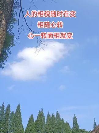 #国学文化#曾仕强教授 #人生智慧