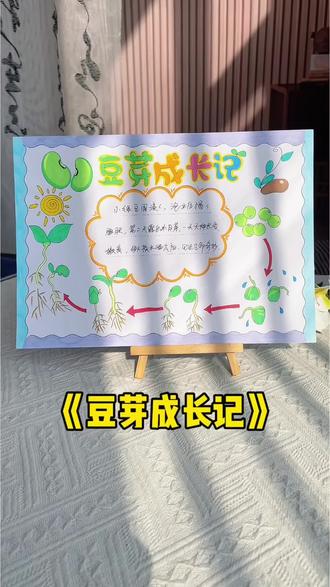 植物生长记录手抄报 豆芽成长记手抄报教程,植物生长记录自然笔记模版线稿,植物观察日记手抄报!#手抄报线稿#豆芽生长记#植物生长过程#自然笔记#植物观察日记