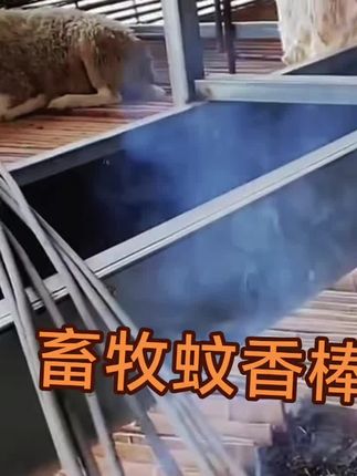 #养殖技术 #科学养殖 #三农养殖 #牛羊养殖 #养殖人加油