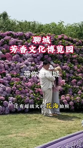五一就来芳香沐野玩吧 太漂亮了#聊城去哪玩 #五一假期 #五一旅行指南 #聊城好玩的 @DOU+小助手 #莫奈花园