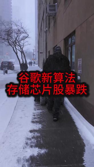 谷歌新算法导致存储芯片股暴跌