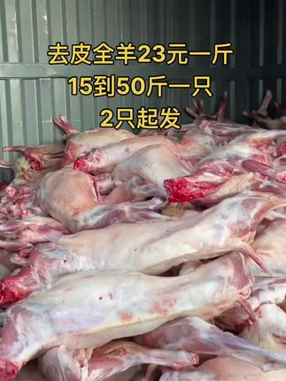 去皮全羊23元一斤，15到50斤一只，2只起发#全羊 #去皮全羊 #牛羊肉批发 #支持全国发货