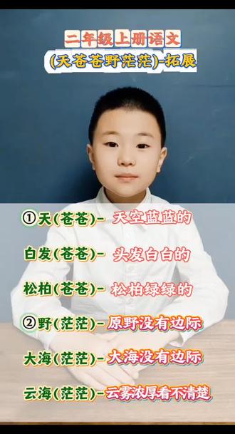 #二年级上册语文 天苍苍✅野茫茫✅词语拓展#小学语文#敕勒川#天苍苍野茫茫风吹草低见牛羊