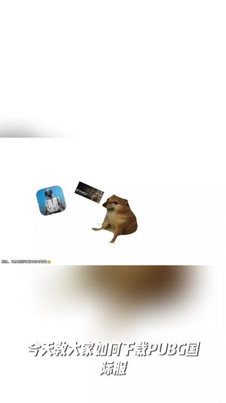 PUBG国际版 苹果 游戏软件#马年送一种新的电子年货#当工具做了个噩梦#我的新年返乡数码好物