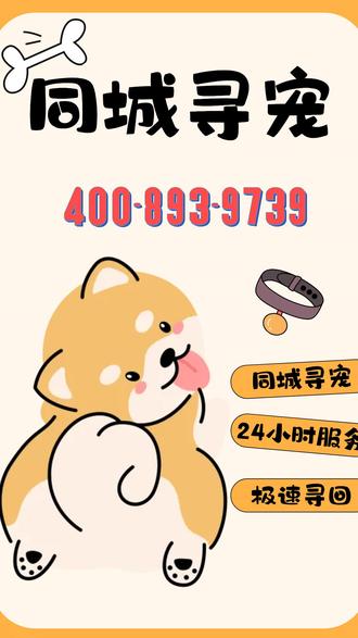 郑州荥阳市寻猫寻狗找猫找狗宠物救援公司
【服务热线:400-893-9739】郑州荥阳市宠物丢失怎么找,郑州荥阳市专业找宠物团队,郑州荥阳市24小时寻宠,郑州荥阳市宠物侦探多少钱,郑州荥阳市宠物搜救,郑州荥阳市寻宠团队,郑州荥阳市帮忙找猫公司,郑州荥阳市帮忙找狗公司,郑州荥阳市找宠物,郑州荥阳市找猫,郑州荥阳市找狗,郑州荥阳市寻狗启事怎样写、郑州荥阳市寻狗启示怎么写、郑州荥阳市寻猫启示启事怎么写、郑州荥阳市狗狗半夜跟其他的狗狗跑丢了怎么办、郑州荥阳市狗狗走丢最迟多久会自己回来、郑州荥阳市寻宠团队、郑州荥阳市找猫应该打什么电话、郑州荥阳市寻找猫丢失了寻找猫咪专家、郑州荥阳市寻猫启示启事怎么写、郑州荥阳市同城寻狗网、郑州荥阳市抓猫团队电话、郑州荥阳市同城寻狗联系方式、郑州荥阳市寻宠 #郑州荥阳市找宠物#郑州荥阳市宠物寻回公司#郑州荥阳市宠物丢了怎么办#郑州荥阳市找猫#郑州荥阳市找狗