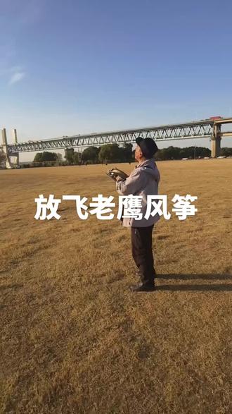 3米五的老鹰风筝飞起来了