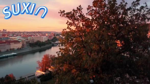 分享:栖栖者非佞!