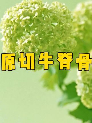 #天海藏 家的原切牛脊骨,每个都是精选原切,有筋有肉太好吃了!关键现在这价到手五斤好划算#原切牛脊骨 #牛脊骨 #牛蝎子 #新鲜牛脊骨