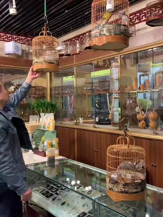 #热门 #玉鸟#丝雀#鹦鹉#养鸟经验分享