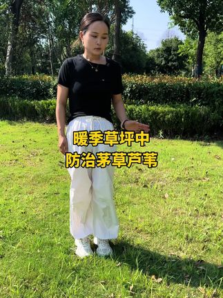 暖季草坪中长了茅草 芦苇 香附子 水花生 刺儿菜 小飞蓬 地锦等各种杂草如何防治#茅草 #芦苇#园林绿化 #市政园林 #草坪基地