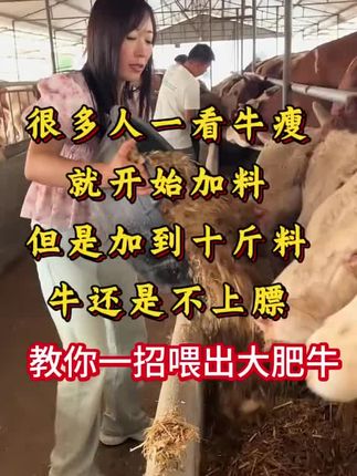 #牛#养牛#养牛人#牛拉稀#养牛技术