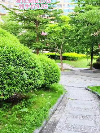 #漫花抽纸巾 #漫花纸巾 #漫花抽纸