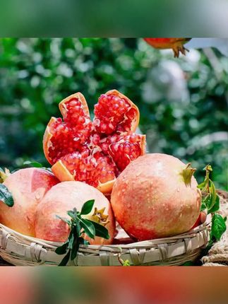 突尼斯软籽石榴新鲜采摘当季水果鲜甜多汁#应季水果  #水果  #石榴  #软籽石榴 #突尼斯软籽石榴