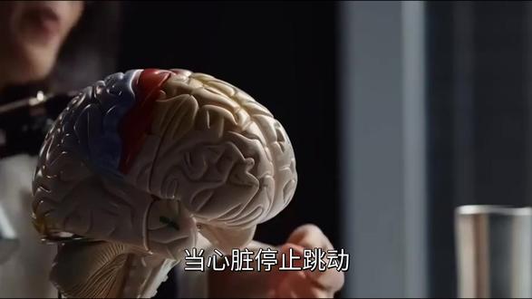最后电光:人死后的那十分钟发生了什么? #死亡 #大脑 #神经 #科学 #这也能开播