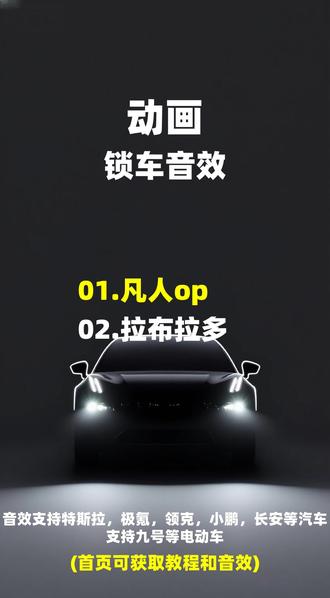 动画锁车音效合集 动画锁车音效合集 #特斯拉 #极氪 #领克 #长安汽车 #小鹏汽车