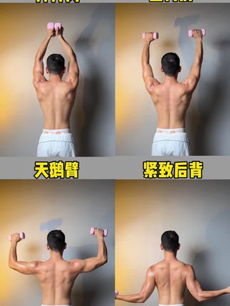 每天连起来吧,你的肩背手臂一定很紧致#美背 #瘦手臂 #居家锻炼 #好身材练起来