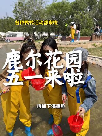 这个五一!50多畅玩鹿尔花园!追鸭子赶鸭子!还能带走小鸭子哈哈!#邯郸鹿尔花园 #五一遛娃 #冲鸭露营狂欢节 #露营烤肉