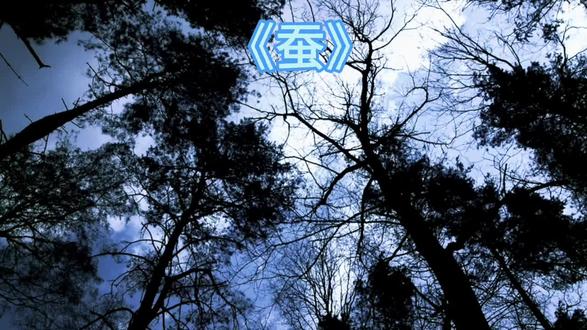 #古诗#古诗词#古风#中华文化#国学文化