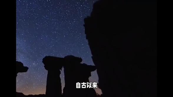 外来黑猫的不祥传说:迷信与现实的交织#传说 #黑猫 #科学