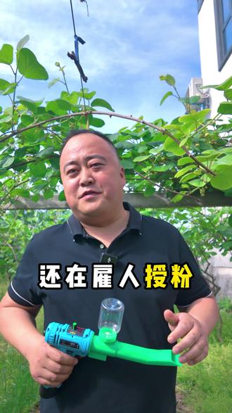 眉县猕猴桃授粉神器!授粉效率翻倍 本地可到店试机包你满意 #静电授粉器 #猕猴桃授粉 #新农人计划2026 #天源万和果园机械 #赵晓东带你看农机