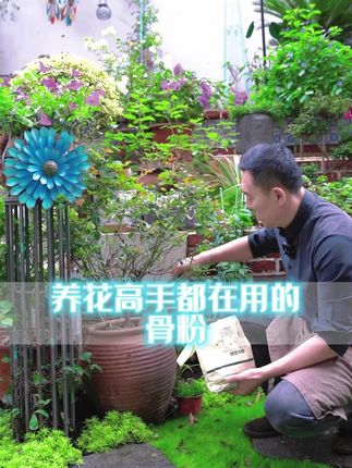 【彩乐植骨粉家庭园艺养花蔬菜果树缓释营养脱脂月季促花通用】#骨粉 #骨粉肥料 #骨粉花肥料 #园艺骨粉 #园艺骨粉花肥