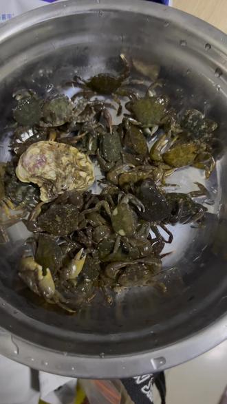 大晚上9点开了十几公里路去放生
#赶海 #螃蟹🦀