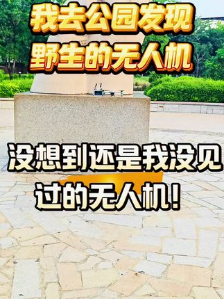 我去在公园发现一架野生的无人机是一种什么样的体验!#无人机#无人机航拍