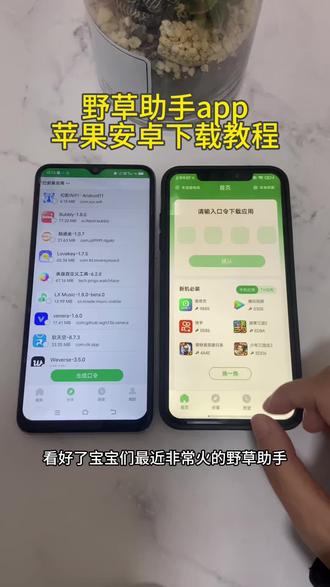 《初初资源》野草助手app苹果安卓下载教程#野草助手 #野草助手怎么下载 #野草助手手机版 #野草助手使用教程 #野草助手口令