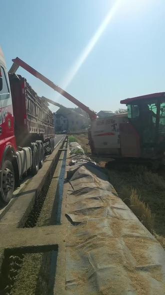 杭州西湖区一带有水稻的联系13814192790