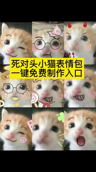 死对头小猫 死对头小猫表情包全套#死对头小猫表情包微信 抖音表情包怎么弄到微信#剪映 #小猫表情包 可爱小猫表情包全套 死对头小猫表情包#死对头小猫表情包 表情包小猫 小猫全套表情包微信 死对头小猫表情包在哪保存 哈基米 网上很火的小猫表情包 死对头他超甜的 死对头小猫表情包图片