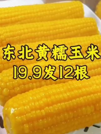 19.9到手12根,而且还都是大棒🌽#东北黄糯玉米 又大又甜又香糯#糯玉米的营养价值 #软糯香甜 大人小孩都爱吃,太香了#哇又便宜又好吃 #粗粮