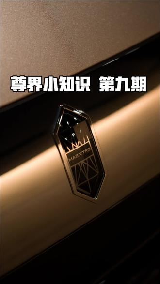 尊界S800鸿蒙座舱一键分享图片当壁纸#尊界 #尊界S800 #干货分享