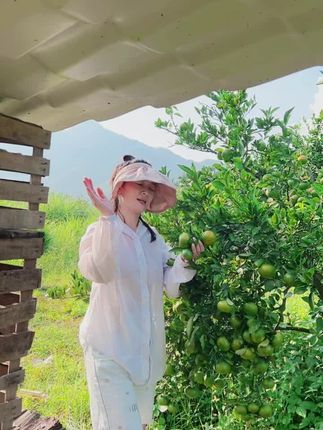 有吗?#新鲜采摘
