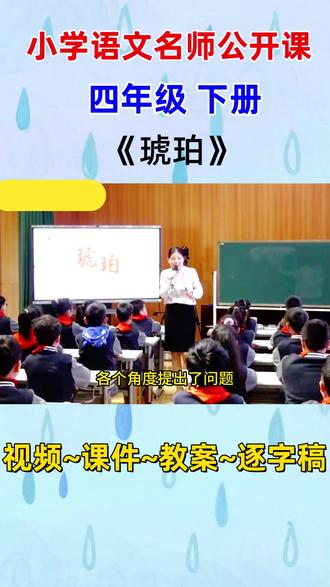 小学语文名师公开课四年级下册《琥珀》完整版教学视频#小学语文公开课 #小学语文 #小学语文优质课