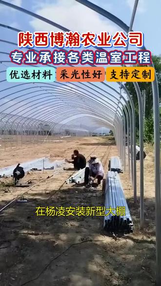在杨凌安装新型大棚多少钱一平方 在杨凌安装新型大棚,多少钱一平方?陕西博瀚公司,专注温室大棚设计建造,价格透明合理,我们的大棚透光性好,结构稳固,能应对各种恶劣天气,让您的种植更有保障。#新型大棚 #杨凌新型大棚 #新型大棚多少钱一平方 #陕西博瀚公司 #专业建棚