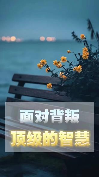 面对背叛
最高级的智慧从不是歇斯底里
而是默默咽下心酸
这不叫懦弱妥协
更不是一味隐忍
收起情绪,沉淀心性,沉住气慢慢蛰伏
不纠缠过往恩怨,不消耗自身心力
静静蓄力等待时机
时间会帮你清算所有亏欠
命运自会安排最好归途
放过从前委屈,稳住当下心境
静待风生水起,惊艳所有曾经伤害你的人
#婚姻 #背叛 #挽回 #女性成长 #女性智慧