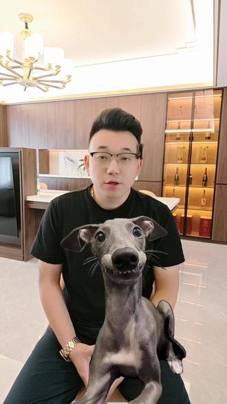 猎犬战斗力排行,灵缇犬垫底杜高犬彪悍