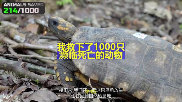 我救下了1000只濒临死亡的动物 (第4段)