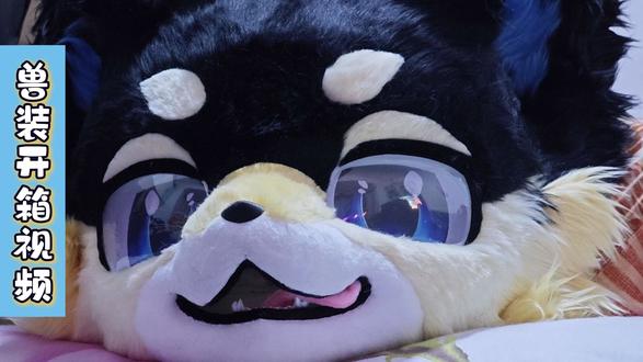 兽装开箱视频 也是在过年前收到了心心念念的兽装啦~ 我是一只小熊 嘻嘻
谢谢@桃酥酥兽装工作室
#福瑞控兽装 #福瑞控 #开箱视频