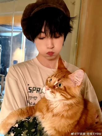 请幸福降临到杨博文手心#杨博文#杨博文天选顾晨阳#会火@DOU+小助手 @抖音热点